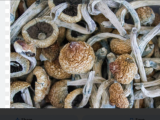 Suppliers Rate Substance Sale All Across CANADA