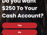 Get $250 Cash towards your Account!