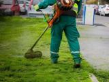 Best Professional Cleaning Services