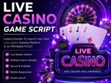Power Your Casino Business with Live Roulette, Blackjack, Baccarat & Teen Patti