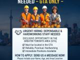 Reliable Workers Needed – GTA Only (Urgent Requirement)