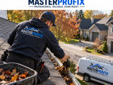 Gutter Cleaning and Window